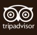 Trip Advisor Icon 2